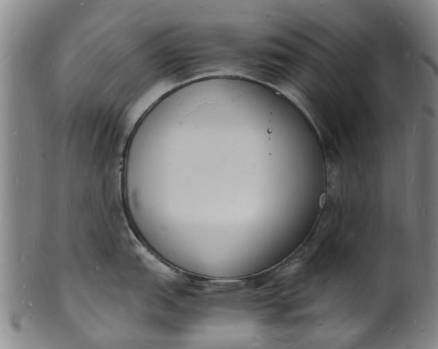 X0000101671151200807241434