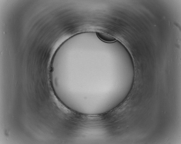 X0000101671152200807241434