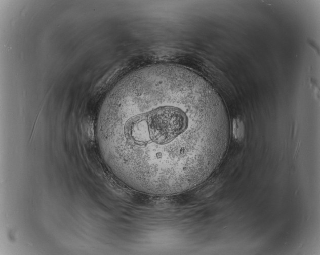 X0000101671155200807241434