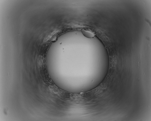 X0000101671157200807241433