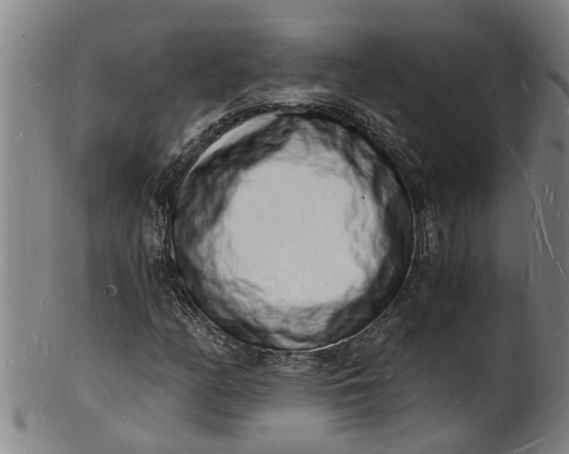 X0000101671158200807241433