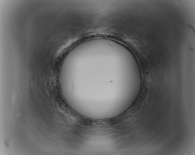 X0000101671159200807241433