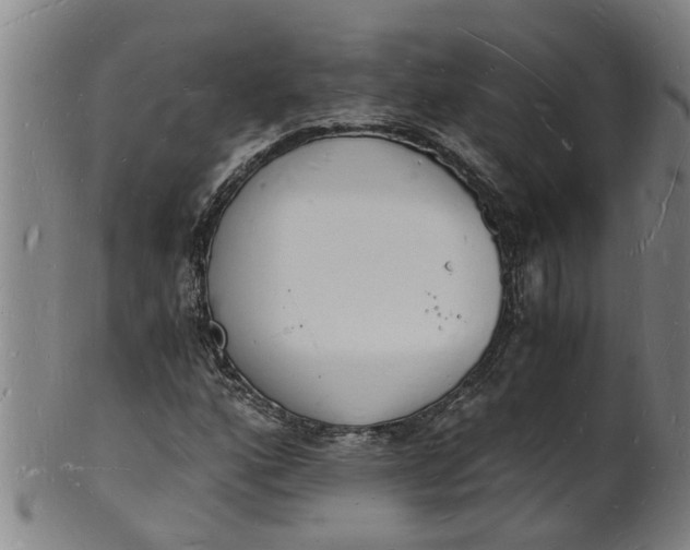 X0000101671160200807241433