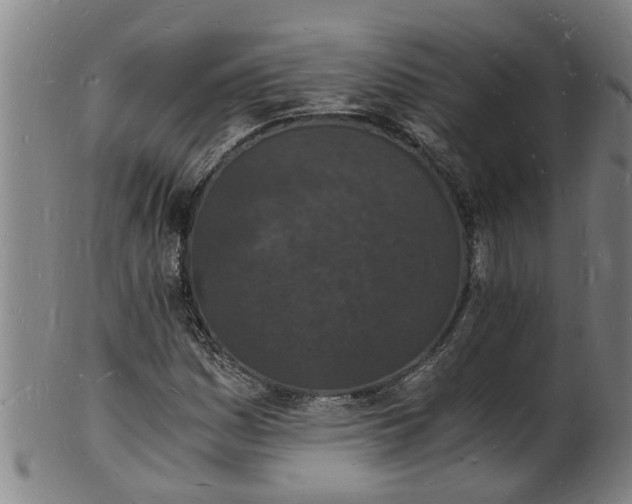 X0000101671161200807241433