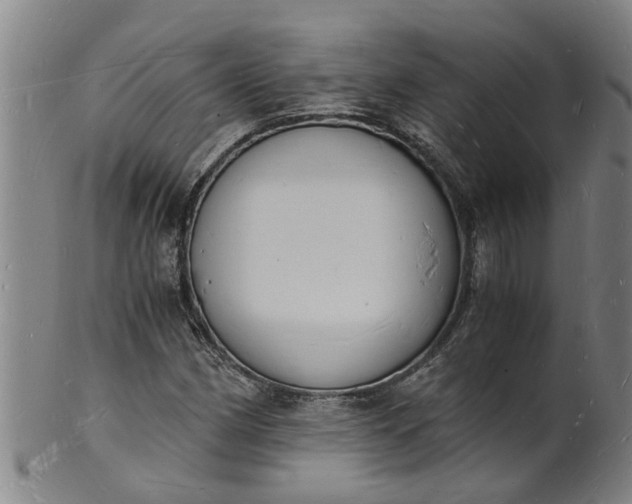 X0000101671162200807241433