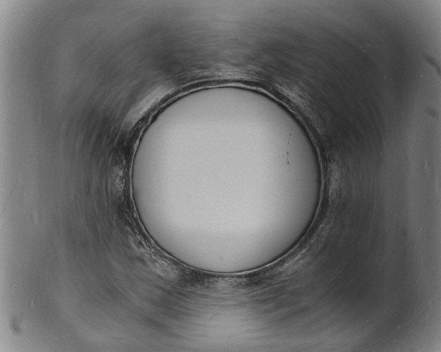 X0000101671163200807241433