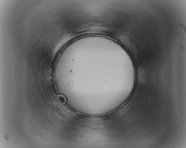 X0000101671164200807241433