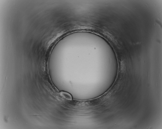 X0000101671165200807241433