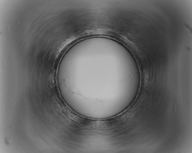 X0000101671166200807241433