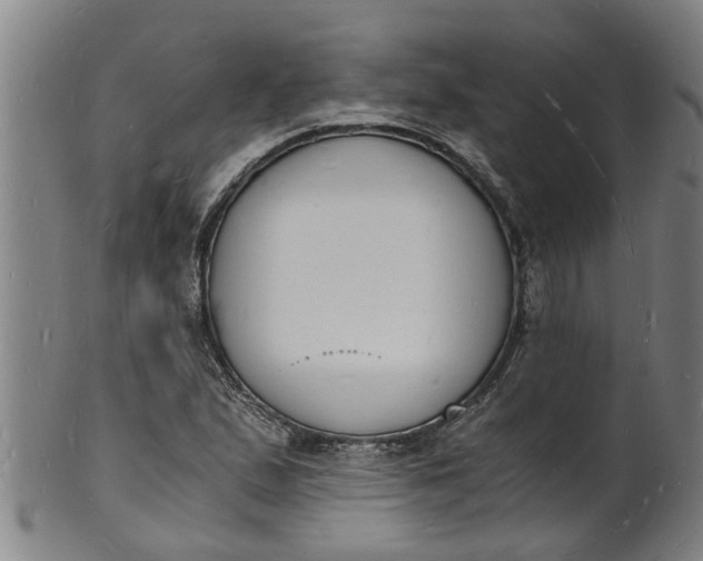X0000101671167200807241433