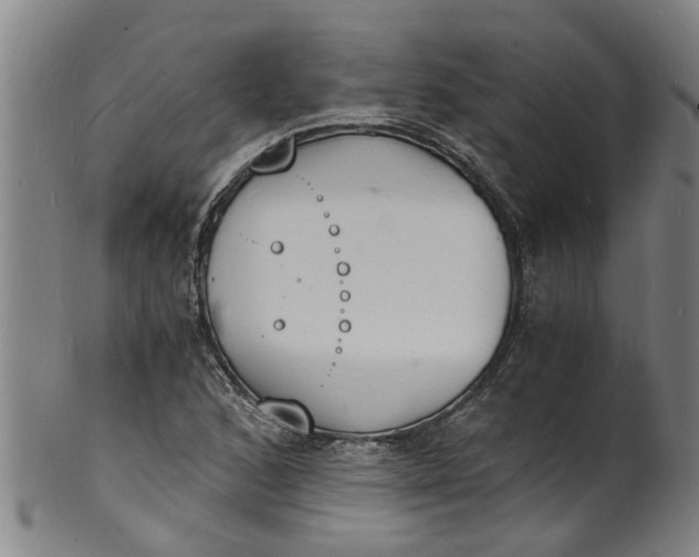 X0000101671168200807241433