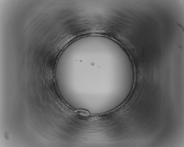 X0000101671169200807241433