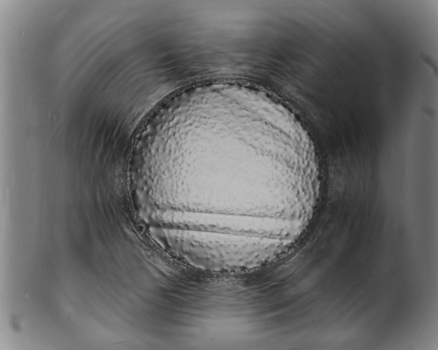 X0000101671170200807241433