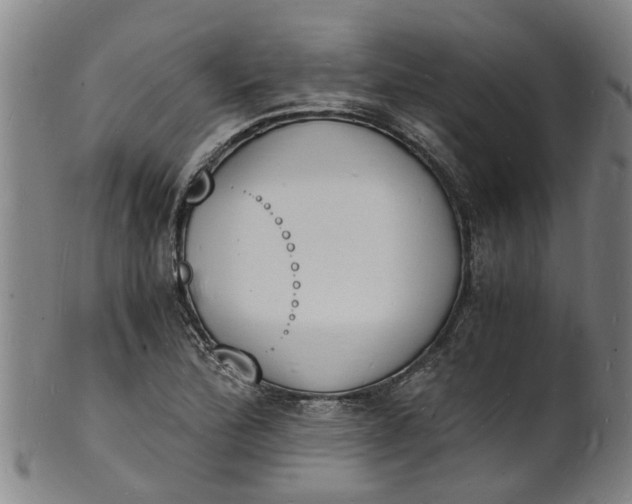X0000101671172200807241433