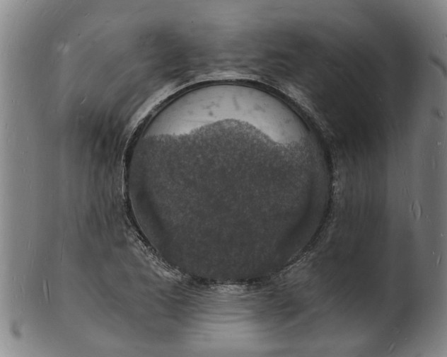 X0000101671173200807241433