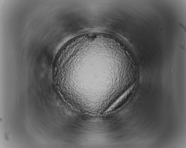 X0000101671174200807241433