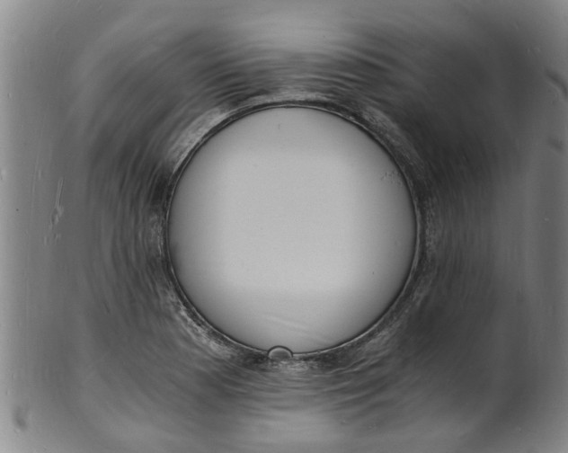 X0000101671177200807241433
