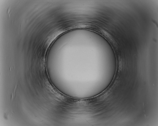 X0000101671178200807241433