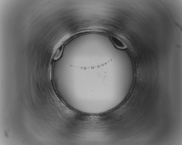 X0000101671180200807241433