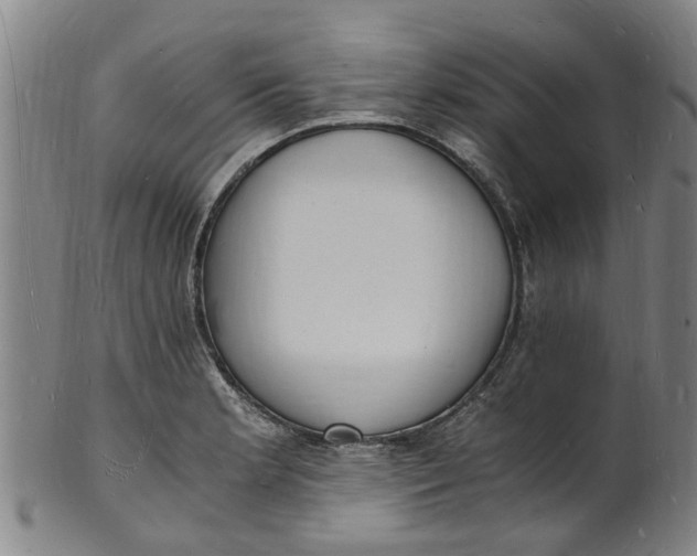 X0000101671181200807241433