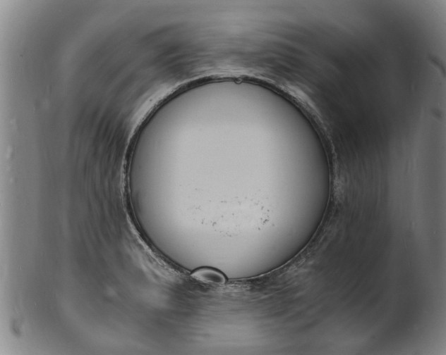 X0000101671183200807241433