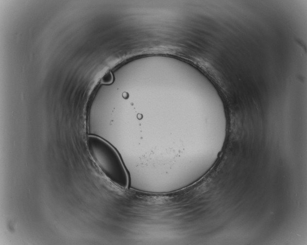 X0000101671184200807241433