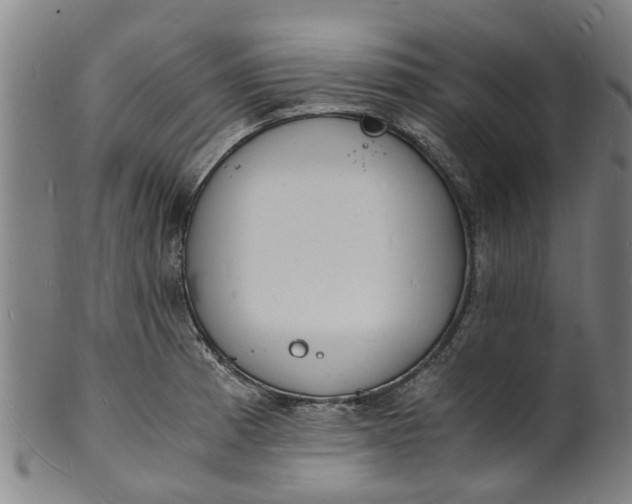 X0000101671185200807241433