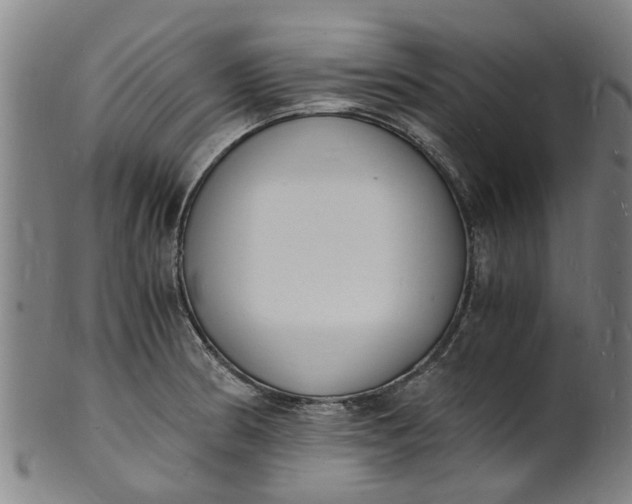 X0000101671186200807241433