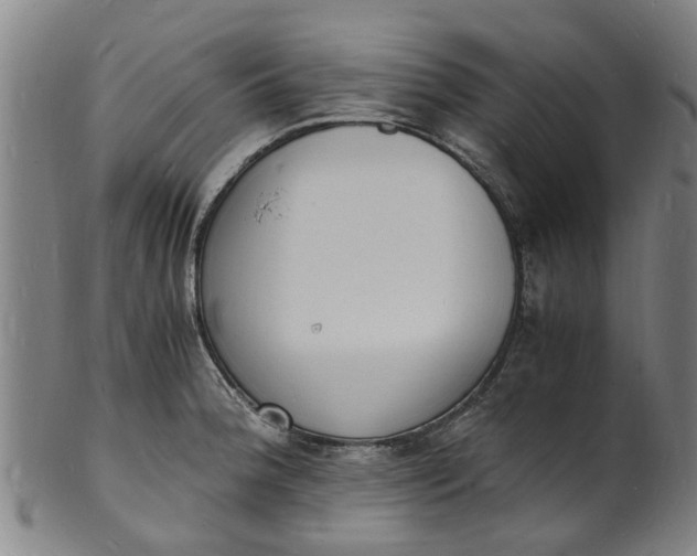 X0000101671188200807241433