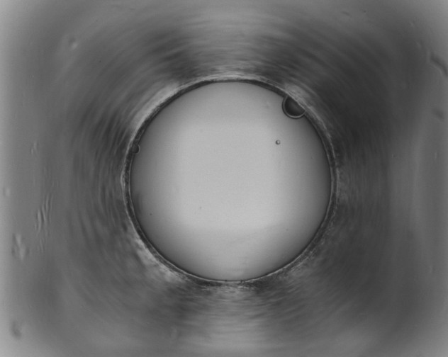 X0000101671189200807241433
