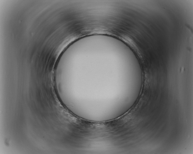 X0000101671190200807241433