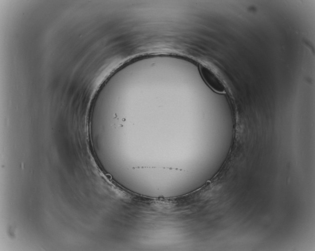 X0000101671191200807241433