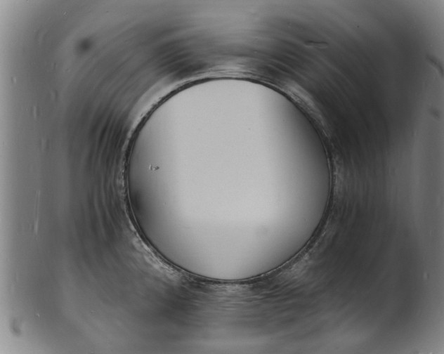 X0000101671192200807241433