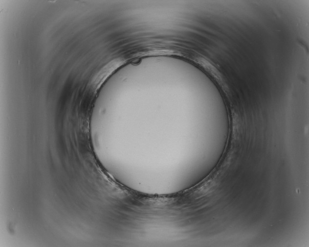 X0000101671193200807241433