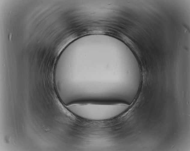 X0000101671194200807241433