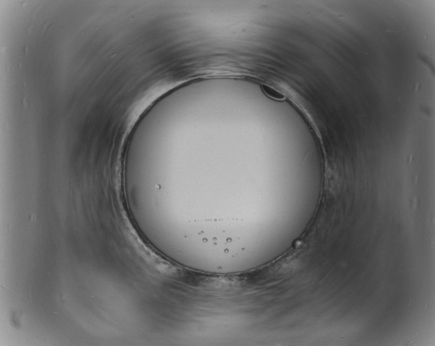 X0000101671195200807241433