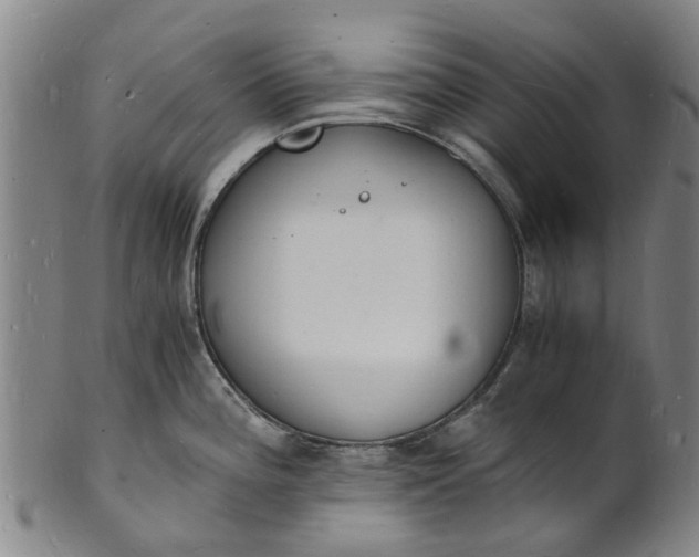 X0000101671196200807241433