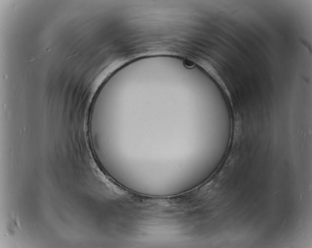 X0000101671197200807241433