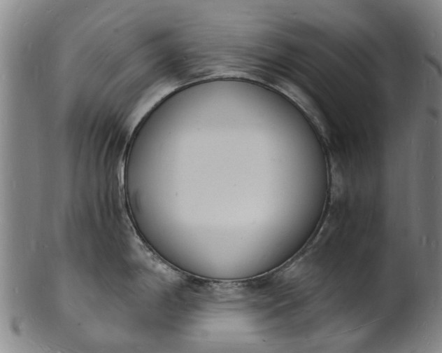 X0000101671198200807241433