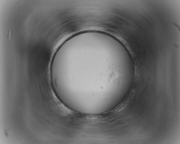 X0000101671199200807241433