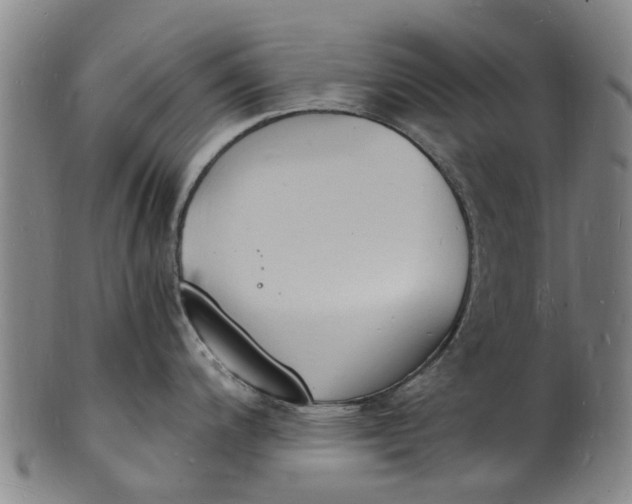 X0000101671200200807241433