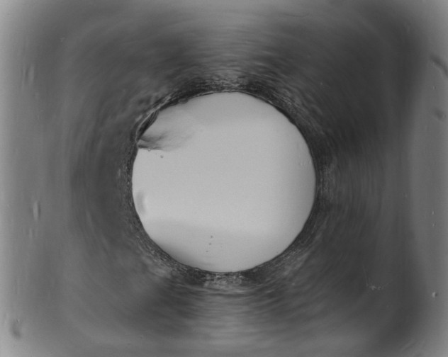X0000101671201200807241432