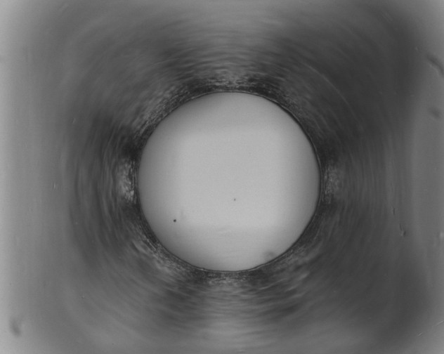 X0000101671202200807241432