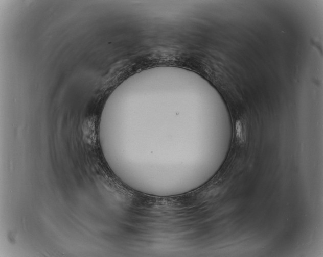 X0000101671203200807241432