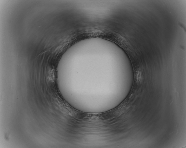 X0000101671204200807241432