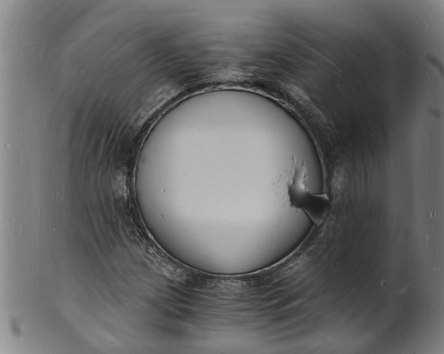 X0000101671209200807241432