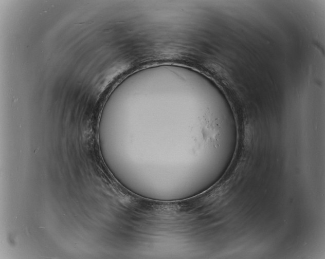 X0000101671210200807241432