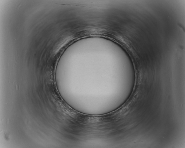 X0000101671211200807241432
