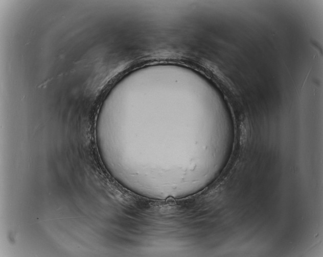 X0000101671213200807241432