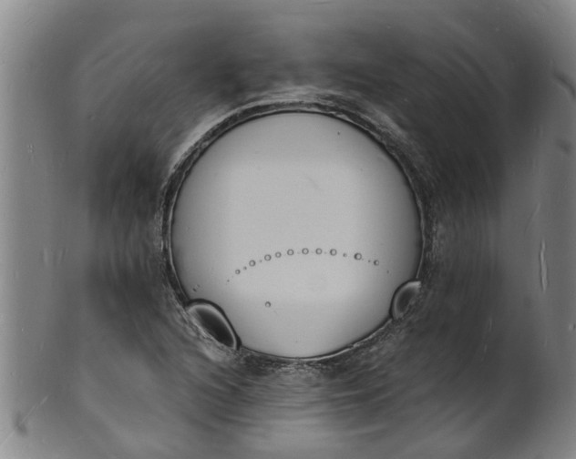 X0000101671216200807241432
